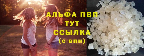 ешки Белокуриха