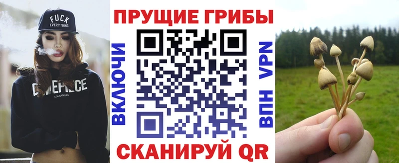 где купить наркоту  Велиж  Галлюциногенные грибы мухоморы 